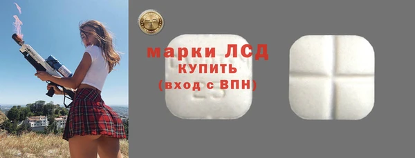 крисы Баксан
