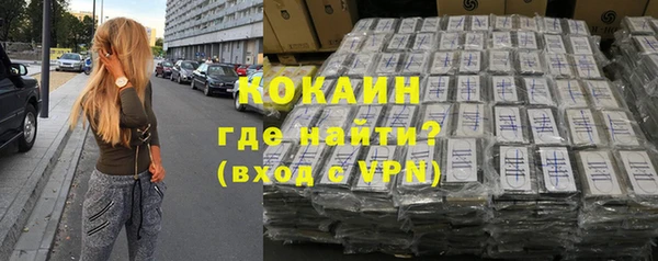 крисы Баксан