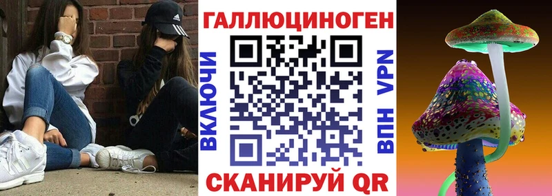Псилоцибиновые грибы GOLDEN TEACHER  нарко площадка телеграм  Нерехта 